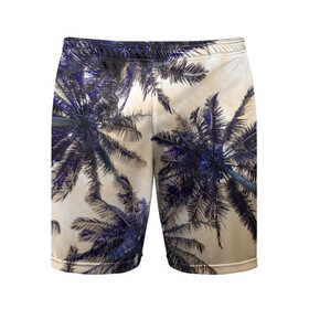 Мужские шорты спортивные с принтом Тропики ,  |  | деревья | небо | облака | пальмы | тропики