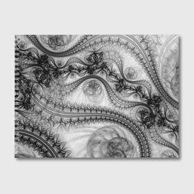 Альбом для рисования с принтом Spilled ink Texture , 100% бумага
 | матовая бумага, плотность 200 мг. | abstraction | black | chaos | gray | ink | madness | pattern | tentacles | texture | vortex | waves | white | абстракция | безумие | белое | вихрь | волны | серый | текстура | узор | хаос | чернила | черное | щупальца