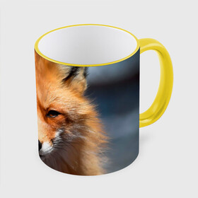 Кружка с принтом Хитрая лисица , керамика | ёмкость 330 мл | Тематика изображения на принте: fox | foxy | животное | звери | лиса | лисенок | лисичка | милая | рыжая | фокс