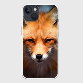 Чехол для iPhone 13 с принтом Хитрая лисица ,  |  | fox | foxy | животное | звери | лиса | лисенок | лисичка | милая | рыжая | фокс