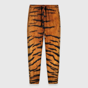 Мужские брюки 3D с принтом Шкура Тигра , 100% полиэстер | манжеты по низу, эластичный пояс регулируется шнурком, по бокам два кармана без застежек, внутренняя часть кармана из мелкой сетки | animal | skin | tiger | раскрас | тигр