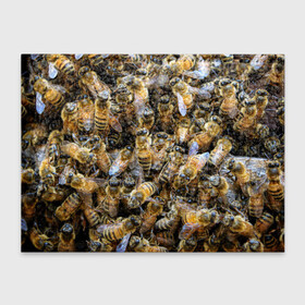 Обложка для студенческого билета с принтом Пчёлы , натуральная кожа | Размер: 11*8 см; Печать на всей внешней стороне | живность | животное | животные | насекомое | насекомые | пчела | пчёлка | пчёлки | пчёлы