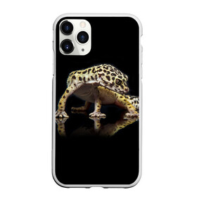 Чехол для iPhone 11 Pro Max матовый с принтом ЭУБЛЕФАР  EUBLEPHARIS , Силикон |  | tegunvteg | геккон | гекон | зублефар | леопардовый геккон | эу | эублефар | ящерица