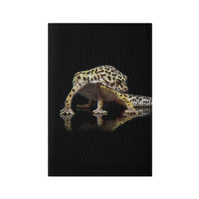 Обложка для паспорта матовая кожа с принтом ЭУБЛЕФАР  EUBLEPHARIS , натуральная матовая кожа | размер 19,3 х 13,7 см; прозрачные пластиковые крепления | tegunvteg | геккон | гекон | зублефар | леопардовый геккон | эу | эублефар | ящерица