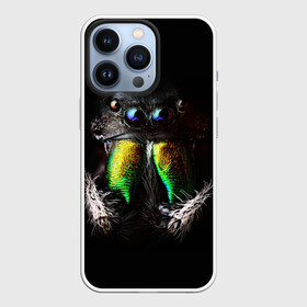 Чехол для iPhone 13 Pro с принтом ПАУК МАКРО СЪЕМКА ,  |  | tegunvteg | глаза | животные | насекомые | паук | природа