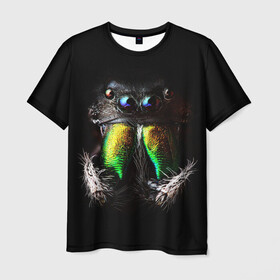 Мужская футболка 3D с принтом ПАУК МАКРО СЪЕМКА , 100% полиэфир | прямой крой, круглый вырез горловины, длина до линии бедер | tegunvteg | глаза | животные | насекомые | паук | природа