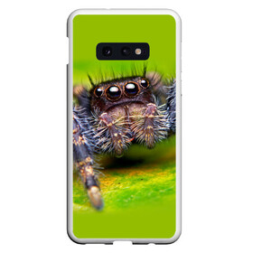 Чехол для Samsung S10E с принтом ПАУК МАКРО , Силикон | Область печати: задняя сторона чехла, без боковых панелей | tegunvteg | глаза | животные | макро | насекомые | паук | природа
