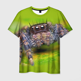 Мужская футболка 3D с принтом ПАУК МАКРО , 100% полиэфир | прямой крой, круглый вырез горловины, длина до линии бедер | tegunvteg | глаза | животные | макро | насекомые | паук | природа