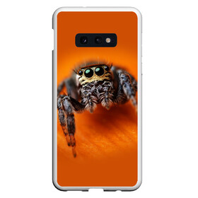Чехол для Samsung S10E с принтом ПАУК  SPIDER , Силикон | Область печати: задняя сторона чехла, без боковых панелей | tegunvteg | глаза | животные | макро | насекомые | паук | природа