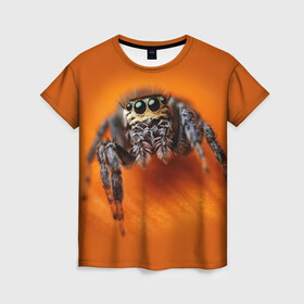 Женская футболка 3D с принтом ПАУК  SPIDER , 100% полиэфир ( синтетическое хлопкоподобное полотно) | прямой крой, круглый вырез горловины, длина до линии бедер | tegunvteg | глаза | животные | макро | насекомые | паук | природа