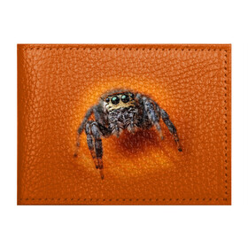 Обложка для студенческого билета с принтом ПАУК  SPIDER , натуральная кожа | Размер: 11*8 см; Печать на всей внешней стороне | tegunvteg | глаза | животные | макро | насекомые | паук | природа