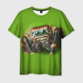 Мужская футболка 3D с принтом ПАУК ВБЛИЗИ , 100% полиэфир | прямой крой, круглый вырез горловины, длина до линии бедер | tegunvteg | глаза | животные | макро | насекомые | паук | природа