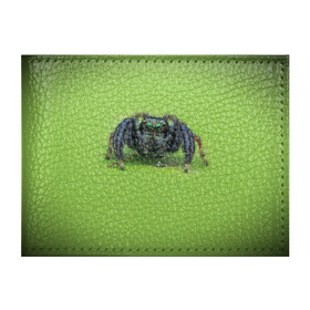 Обложка для студенческого билета с принтом ПАУК С ГЛАЗКАМИ , натуральная кожа | Размер: 11*8 см; Печать на всей внешней стороне | tegunvteg | глаза | животные | макро | насекомые | паук | природа