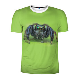 Мужская футболка 3D спортивная с принтом ПАУК С ГЛАЗКАМИ , 100% полиэстер с улучшенными характеристиками | приталенный силуэт, круглая горловина, широкие плечи, сужается к линии бедра | Тематика изображения на принте: tegunvteg | глаза | животные | макро | насекомые | паук | природа