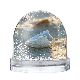 Игрушка Снежный шар с принтом Морская ракушка , Пластик | Изображение внутри шара печатается на глянцевой фотобумаге с двух сторон | морская | морские | песок | пляж | пляжный | ракушка | ракушки
