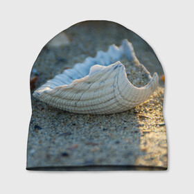 Шапка 3D с принтом Морская ракушка , 100% полиэстер | универсальный размер, печать по всей поверхности изделия | морская | морские | песок | пляж | пляжный | ракушка | ракушки