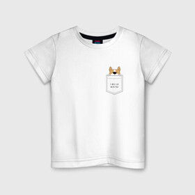 Детская футболка хлопок с принтом Корги в кармане_01 , 100% хлопок | круглый вырез горловины, полуприлегающий силуэт, длина до линии бедер | corgi | dog | вельш корги | карман | корги | коржик | собака