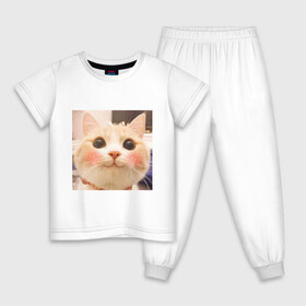 Детская пижама хлопок с принтом Мем про котов , 100% хлопок |  брюки и футболка прямого кроя, без карманов, на брюках мягкая резинка на поясе и по низу штанин
 | белый | кот | мем | милый | прикол