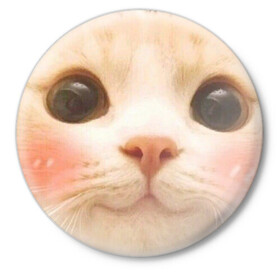 Значок с принтом Мем про котов ,  металл | круглая форма, металлическая застежка в виде булавки | Тематика изображения на принте: белый | кот | мем | милый | прикол