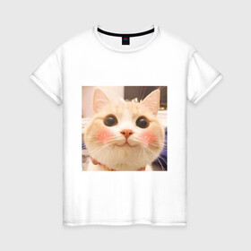 Женская футболка хлопок с принтом Мем про котов , 100% хлопок | прямой крой, круглый вырез горловины, длина до линии бедер, слегка спущенное плечо | белый | кот | мем | милый | прикол