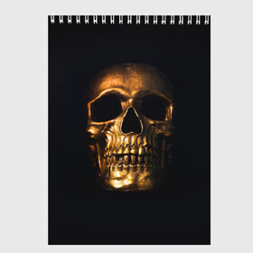 Скетчбук с принтом Golden Skull , 100% бумага
 | 48 листов, плотность листов — 100 г/м2, плотность картонной обложки — 250 г/м2. Листы скреплены сверху удобной пружинной спиралью | golden | midas | skull | иллюстрация | черепа