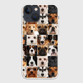 Чехол для iPhone 13 mini с принтом Я ЛЮБЛЮ СОБАК   I LOVE DOGS ,  |  | collage dogs | dogs | i love dogs | домашние животные | друзья наши младшие | коллаж | собаки | собачки. | я люблю собак