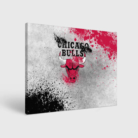 Холст прямоугольный с принтом CHICAGO BULLS [8] , 100% ПВХ |  | basketball | bulls | chicago | chicago bulls | jordan | nba | баскетбол | джордан | нба | чикаго буллз