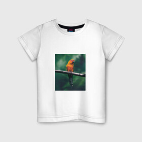 Детская футболка хлопок с принтом Попугай сидит на ветке , 100% хлопок | круглый вырез горловины, полуприлегающий силуэт, длина до линии бедер | животные | звери | иллюстрации | попугай | популярные | прикольные | птица | сидит