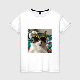 Женская футболка хлопок с принтом Мем про кота , 100% хлопок | прямой крой, круглый вырез горловины, длина до линии бедер, слегка спущенное плечо | в очках | киса селфи | кот | мем | милый | прикол