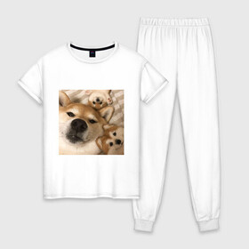 Женская пижама хлопок с принтом Мем про собак , 100% хлопок | брюки и футболка прямого кроя, без карманов, на брюках мягкая резинка на поясе и по низу штанин | белый | игрушки мягкие | мем | милый | прикол | сиба ину | собака