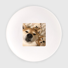 Тарелка с принтом Мем про собак , фарфор | диаметр - 210 мм
диаметр для нанесения принта - 120 мм | белый | игрушки мягкие | мем | милый | прикол | сиба ину | собака