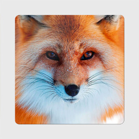 Магнит виниловый Квадрат с принтом Мордочка лисы , полимерный материал с магнитным слоем | размер 9*9 см, закругленные углы | Тематика изображения на принте: fox | foxy | животное | звери | лиса | лисенок | лисичка | милая | рыжая | фокс
