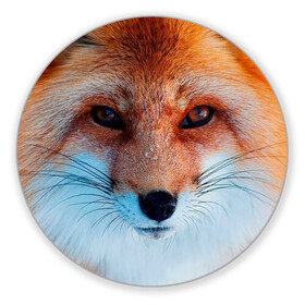 Коврик для мышки круглый с принтом Мордочка лисы , резина и полиэстер | круглая форма, изображение наносится на всю лицевую часть | Тематика изображения на принте: fox | foxy | животное | звери | лиса | лисенок | лисичка | милая | рыжая | фокс