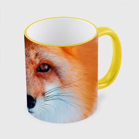 Кружка с принтом Мордочка лисы , керамика | ёмкость 330 мл | Тематика изображения на принте: fox | foxy | животное | звери | лиса | лисенок | лисичка | милая | рыжая | фокс