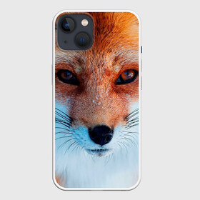 Чехол для iPhone 13 с принтом Мордочка лисы ,  |  | fox | foxy | животное | звери | лиса | лисенок | лисичка | милая | рыжая | фокс