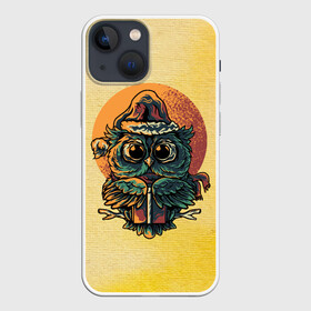 Чехол для iPhone 13 mini с принтом Совушка ,  |  | Тематика изображения на принте: арт | графика | животные | птицы | совы | филины