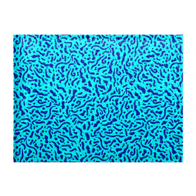 Обложка для студенческого билета с принтом Неоновые синие узоры , натуральная кожа | Размер: 11*8 см; Печать на всей внешней стороне | Тематика изображения на принте: abstract | blue | neon | sea | абстракционизм | абстракция | африканские | вода | волны | голубые узоры | камуфляж | лагуна | линии | мелкий узор | мемфис | море | морское | неоновый | орнамент | пятна | пятнистый