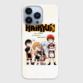 Чехол для iPhone 13 Pro с принтом Старшая Карасуно | Академия Шираторизава ,  |  | haikyu | haikyuu | karasuno | shiratorizawa gakuen | академия шираторизава | аниме | вакатоши ушиджима | волейбол | волейбольный клуб | карасуно | кенджиро ширабу | манга | старшая школа | тобио кагеяма | хаикую