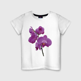 Детская футболка хлопок с принтом Цветущая орхидея , 100% хлопок | круглый вырез горловины, полуприлегающий силуэт, длина до линии бедер | phalaenopsis | женственный | красивые цветы | нежные цветы | орхидея | фаленопсис | цветочное настроение | цветы