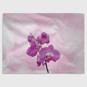 Плед 3D с принтом Нежная орхидея , 100% полиэстер | закругленные углы, все края обработаны. Ткань не мнется и не растягивается | blossom | nature | orchid | женственность | красивые цветы | орхидеи | орхидея | фаленопсис