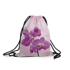 Рюкзак-мешок 3D с принтом Нежная орхидея , 100% полиэстер | плотность ткани — 200 г/м2, размер — 35 х 45 см; лямки — толстые шнурки, застежка на шнуровке, без карманов и подкладки | blossom | nature | orchid | женственность | красивые цветы | орхидеи | орхидея | фаленопсис