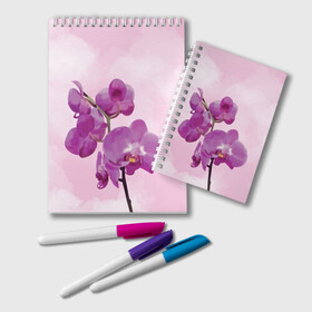 Блокнот с принтом Нежная орхидея , 100% бумага | 48 листов, плотность листов — 60 г/м2, плотность картонной обложки — 250 г/м2. Листы скреплены удобной пружинной спиралью. Цвет линий — светло-серый
 | blossom | nature | orchid | женственность | красивые цветы | орхидеи | орхидея | фаленопсис