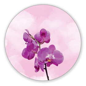 Коврик для мышки круглый с принтом Нежная орхидея , резина и полиэстер | круглая форма, изображение наносится на всю лицевую часть | blossom | nature | orchid | женственность | красивые цветы | орхидеи | орхидея | фаленопсис
