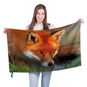 Флаг 3D с принтом Лисица охотница , 100% полиэстер | плотность ткани — 95 г/м2, размер — 67 х 109 см. Принт наносится с одной стороны | fox | foxy | животное | звери | лиса | лисенок | лисичка | милая | рыжая | фокс