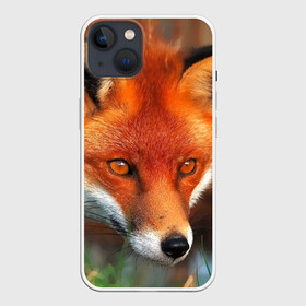 Чехол для iPhone 13 с принтом Лисица охотница ,  |  | fox | foxy | животное | звери | лиса | лисенок | лисичка | милая | рыжая | фокс
