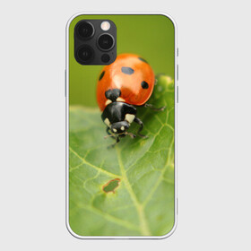 Чехол для iPhone 12 Pro с принтом Божья коровка , силикон | область печати: задняя сторона чехла, без боковых панелей | божья | жук | жуки | жучки | жучок | зелень | коровка | лист | листок | листья | насекомое | насекомые | природа | пятнистые | пятнистый | растение | растения | фауна | флора