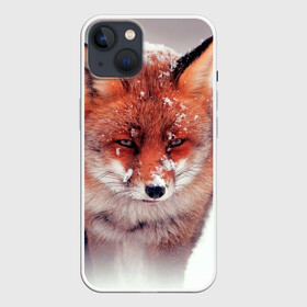 Чехол для iPhone 13 с принтом Лисица и снег ,  |  | fox | foxy | животное | звери | лиса | лисенок | лисичка | милая | рыжая | фокс