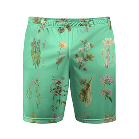 Мужские шорты спортивные с принтом винтажная флора ,  |  | ботаника | ботанический | винтаж | зарисовка | рисунок | флора | цвет