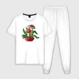 Мужская пижама хлопок с принтом Мой гриб , 100% хлопок | брюки и футболка прямого кроя, без карманов, на брюках мягкая резинка на поясе и по низу штанин
 | art | горшок | гриб | иллюстрация | мухомор