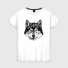Женская футболка хлопок с принтом Голова волка , 100% хлопок | прямой крой, круглый вырез горловины, длина до линии бедер, слегка спущенное плечо | lone | predator | wolf | волк | волки | голова | животное | хищник